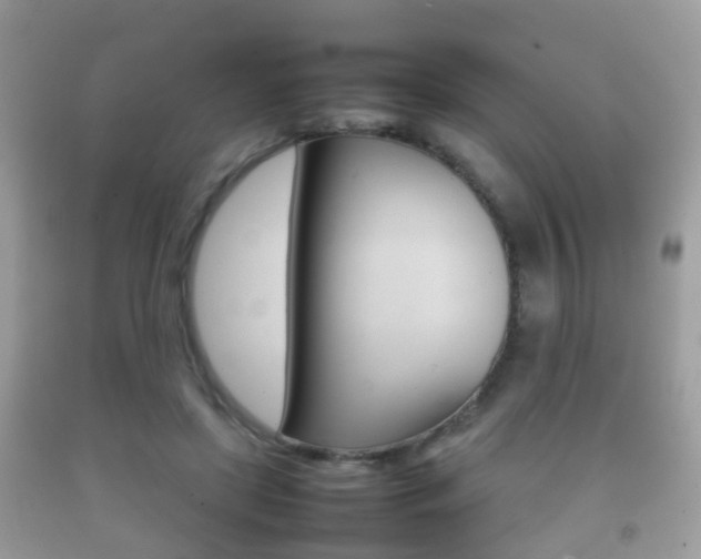 X0000092210451200709140905
