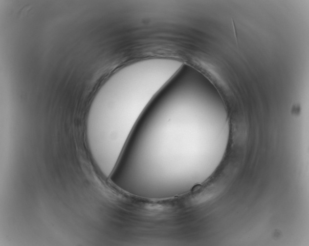 X0000092210453200709140905