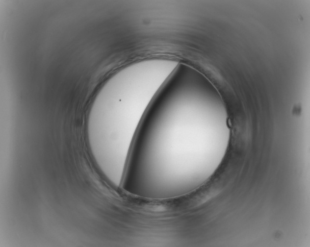 X0000092210454200709140905