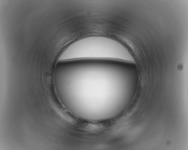 X0000092210455200709140905