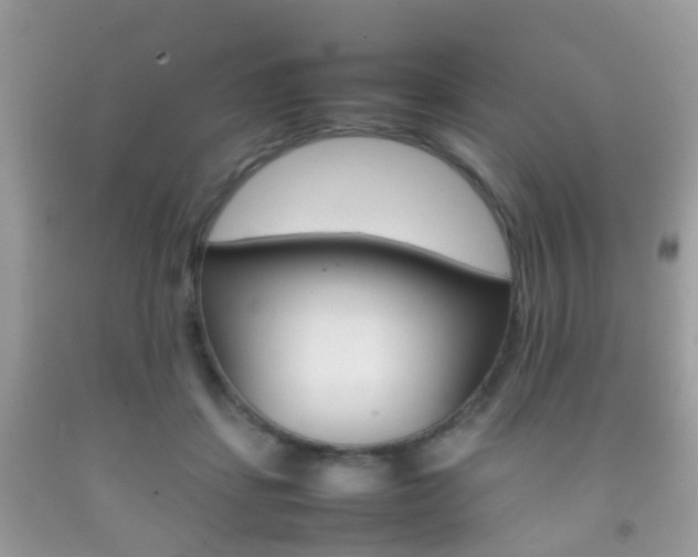 X0000092210459200709140905