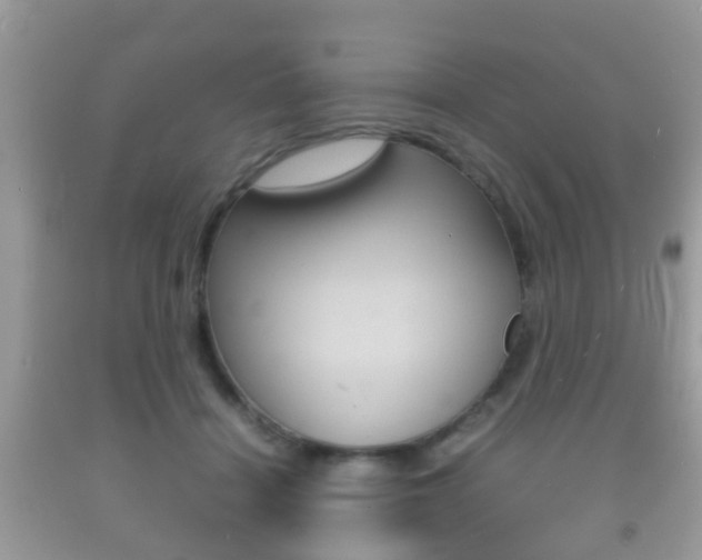 X0000092210460200709140905