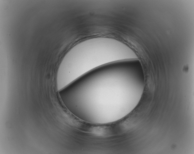 X0000092210461200709140905