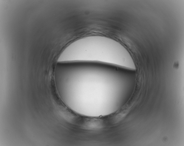 X0000092210463200709140905