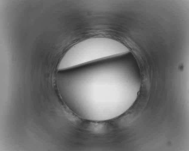 X0000092210469200709140905