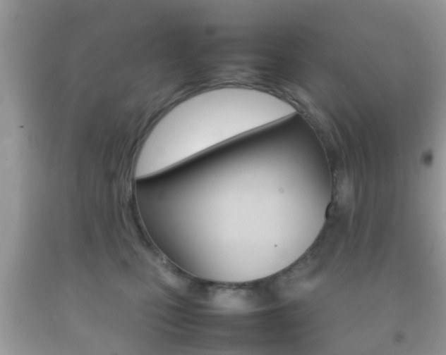 X0000092210471200709140905