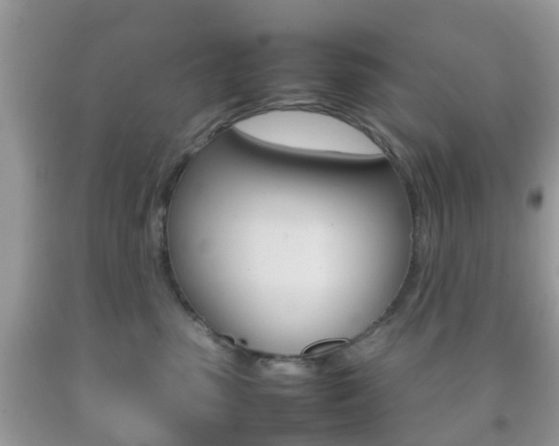 X0000092210475200709140905