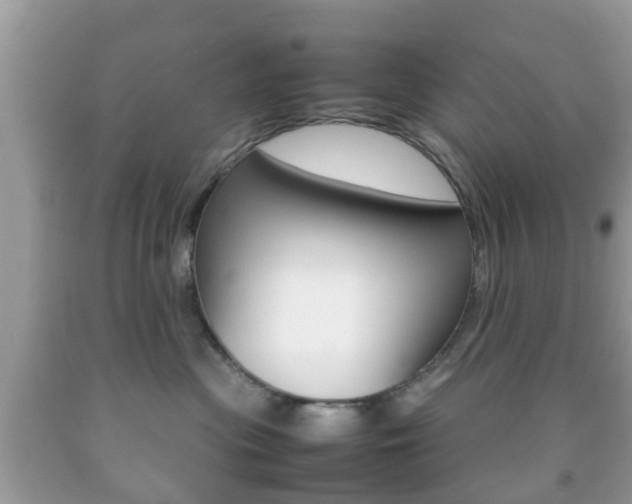 X0000092210477200709140905