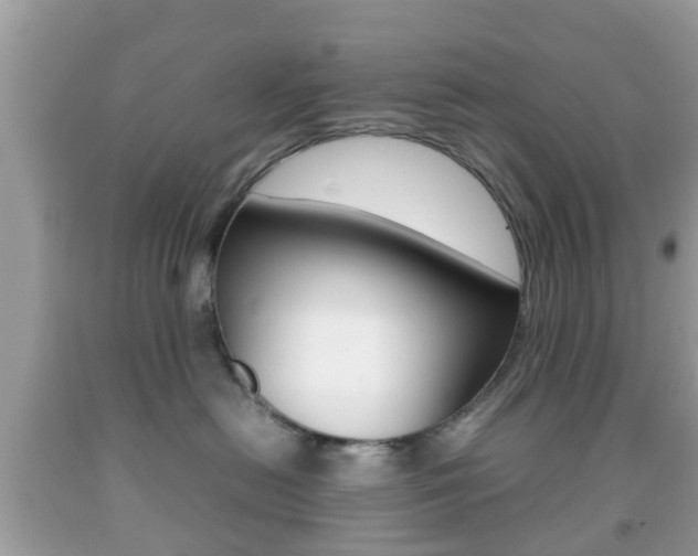 X0000092210478200709140905