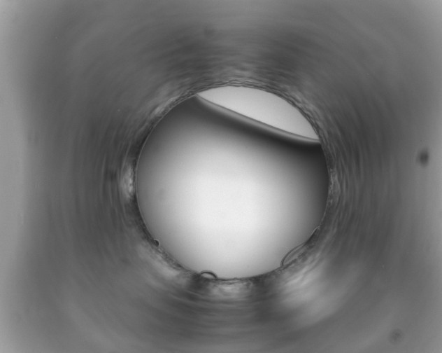 X0000092210479200709140905