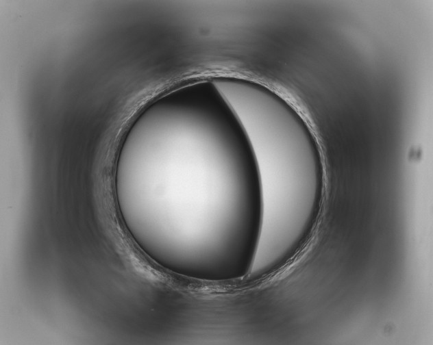 X0000092210481200709140904