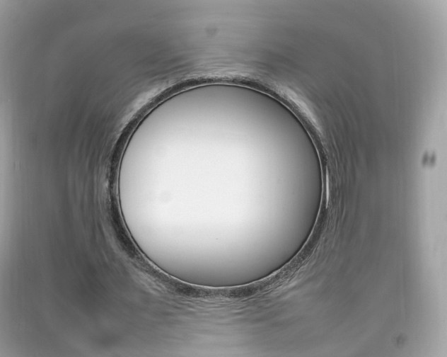 X0000092210483200709140904