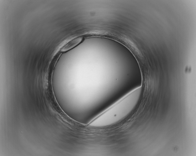X0000092210484200709140904