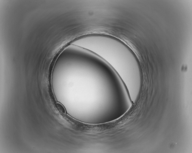 X0000092210485200709140904