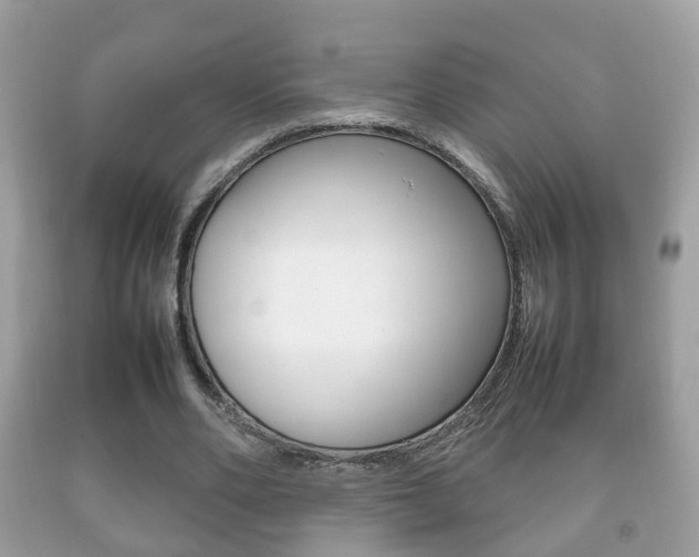 X0000092210486200709140904