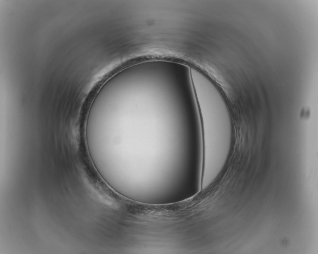 X0000092210488200709140904