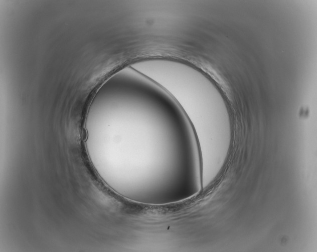 X0000092210489200709140904
