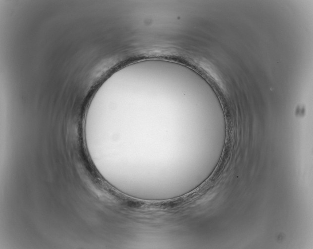 X0000092210491200709140904