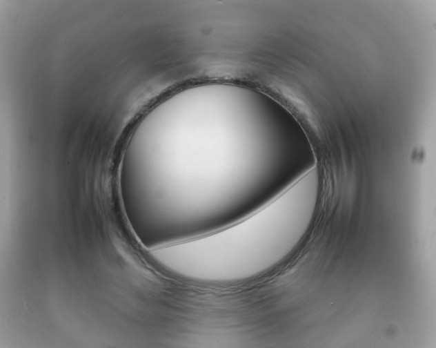 X0000092210492200709140904