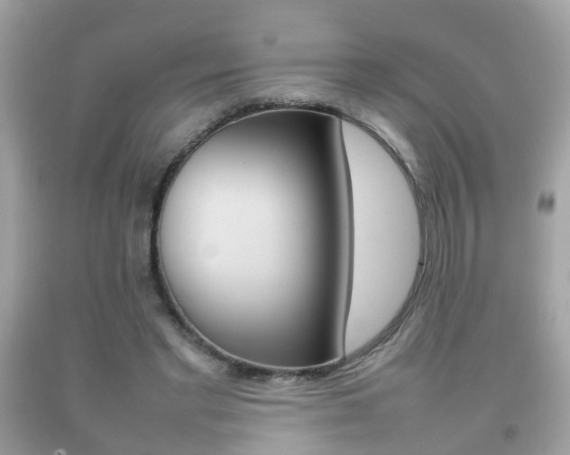 X0000092210493200709140904