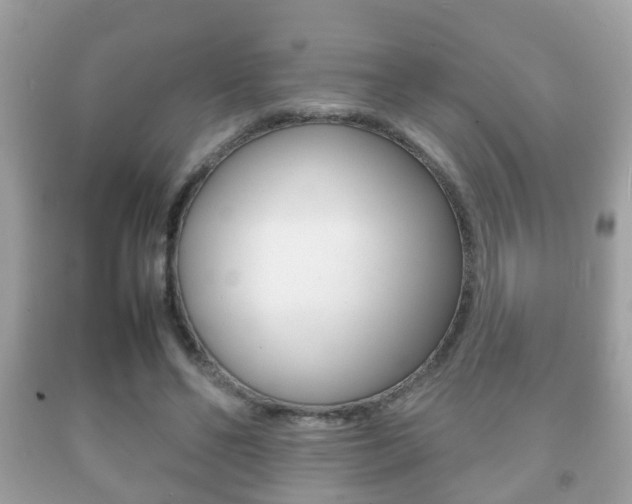 X0000092210494200709140904