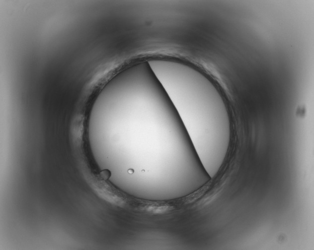 X0000092210495200709140904