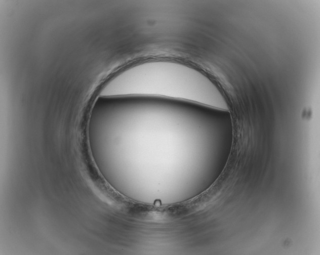 X0000092210496200709140904