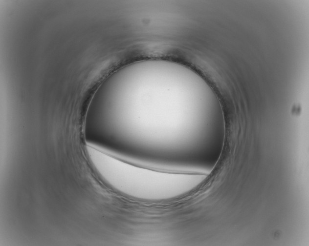 X0000092210497200709140904