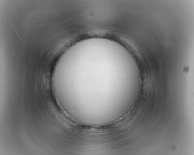 X0000092210498200709140904
