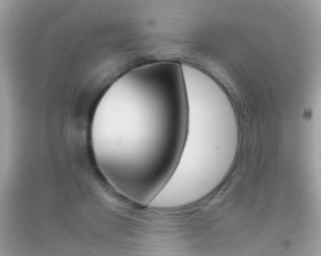 X0000092210501200709140904