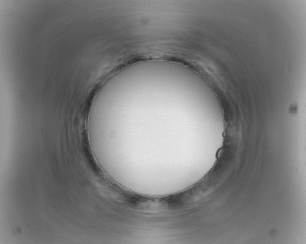 X0000092210503200709140904