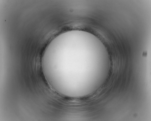 X0000092210506200709140904