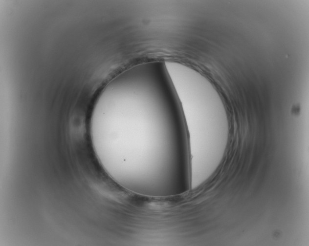 X0000092210508200709140904