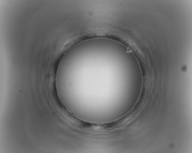 X0000092210509200709140904