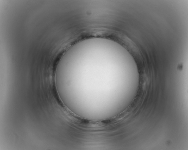 X0000092210510200709140904
