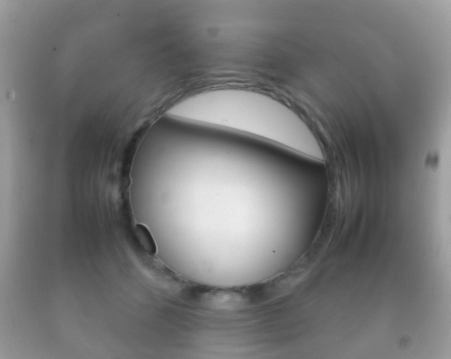 X0000092210512200709140904