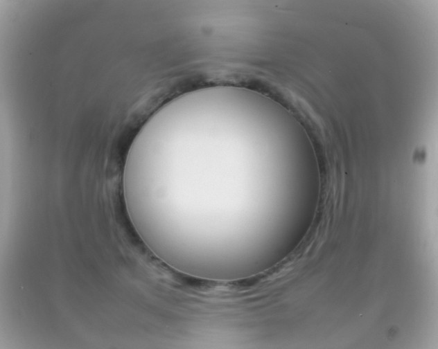 X0000092210513200709140904