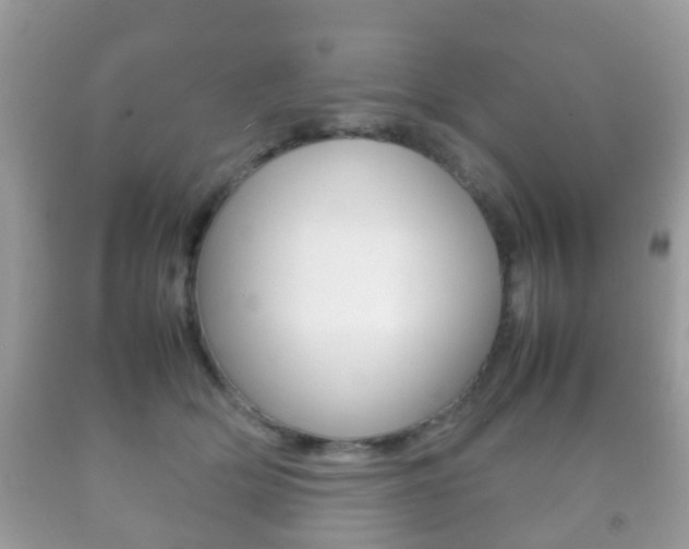 X0000092210514200709140904