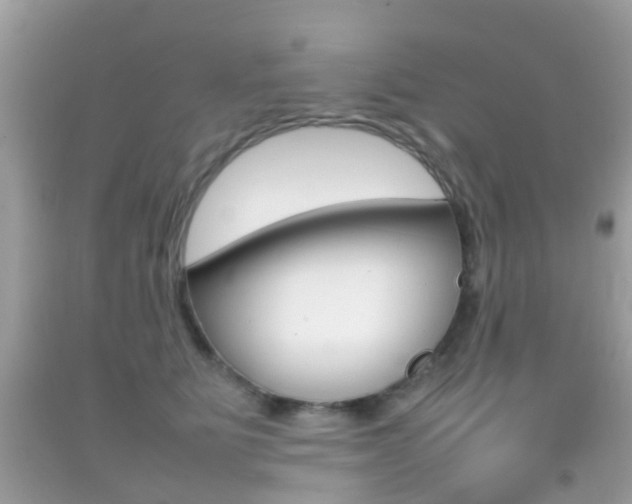 X0000092210515200709140904