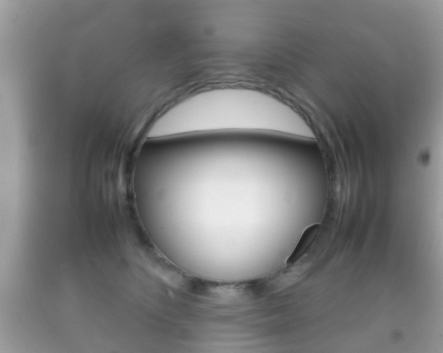 X0000092210516200709140904