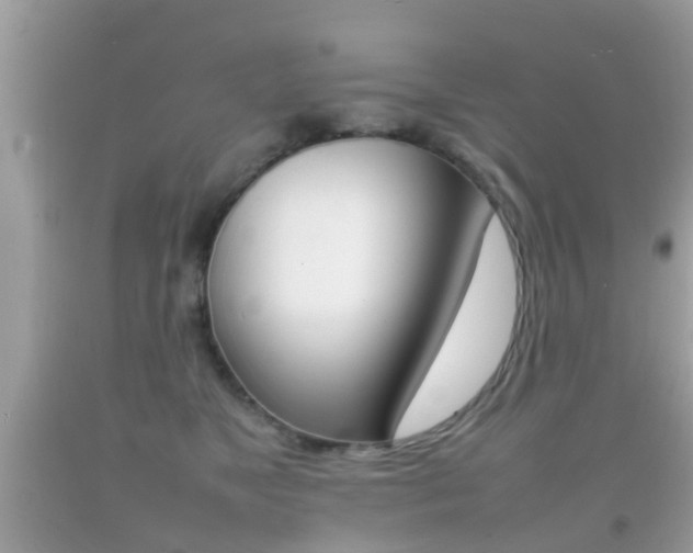 X0000092210517200709140904