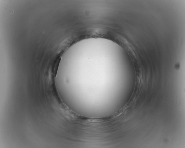 X0000092210520200709140904