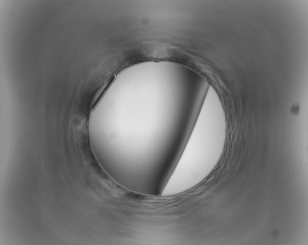 X0000092210521200709140904