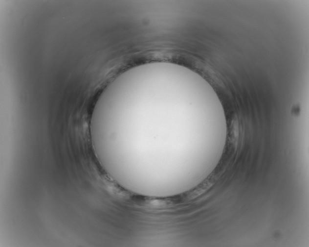 X0000092210522200709140904