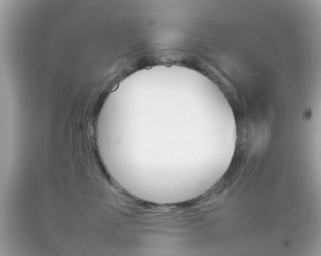 X0000092210523200709140904