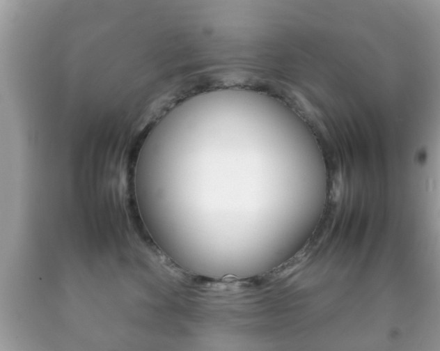 X0000092210524200709140904