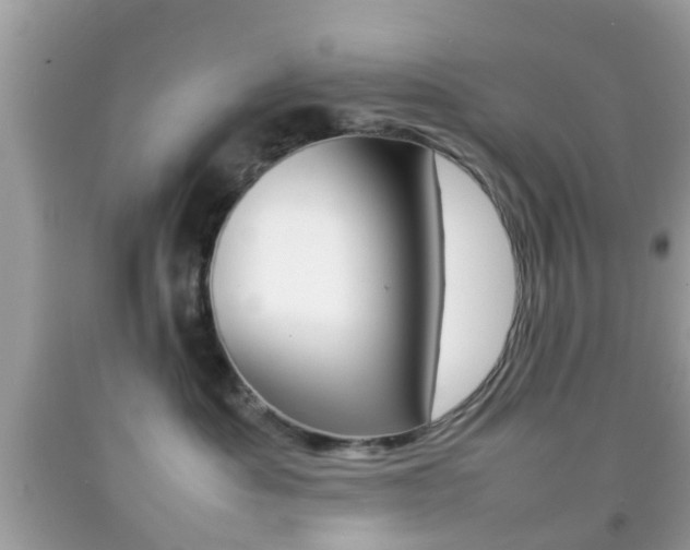 X0000092210525200709140904