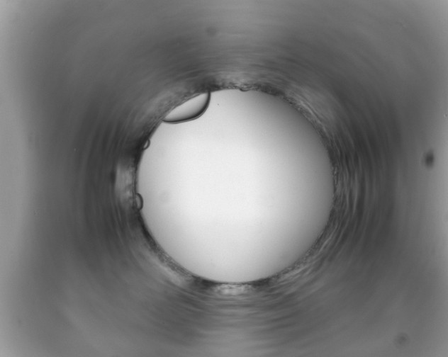 X0000092210526200709140904