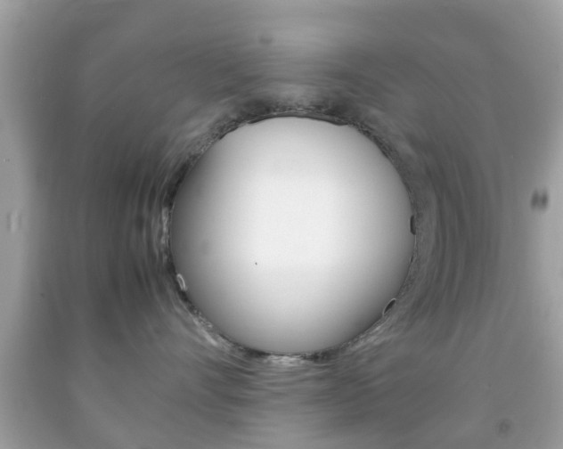 X0000092210528200709140904