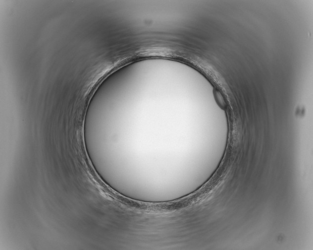 X0000092210529200709140903